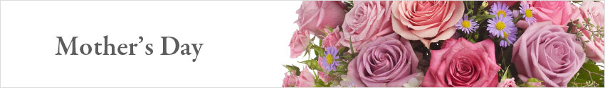 Send Mother's Day Flowers with Nature's Wonders Florist