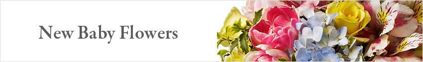 Send New Baby Flowers & Gifts with Nature's Wonders Florist