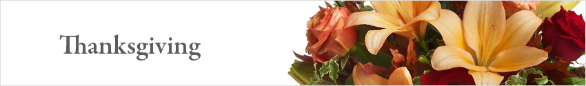 Send Thanksgiving Flowers & Gifts with Nature's Wonders Florist